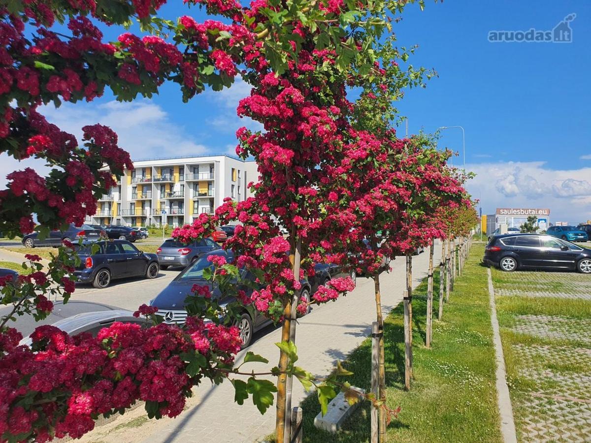 New Studio Free Parking Klaipėda Exteriör bild
